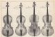 Violins Of The Great Masters Famous Violins Antique Music Art Print 1882 String photo 2