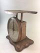 Vintage Antique Pelouze Mfg.  Co.  30 Lbs Kitchen Weighing Scale With Glass Face Scales photo 3