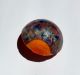 Two Toned Leo Popper Glass Button Buttons photo 3