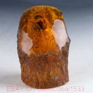 100 Natural Amber Handwork Carved Cicada Statue Pa0422 photo