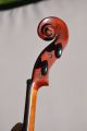 Old French Violin  A.  Salvator  Jtl One Piece Back String photo 6