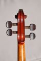 Old French Violin  A.  Salvator  Jtl One Piece Back String photo 7