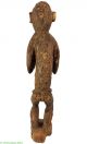 Baule Mbra Monkey Figure Cote D ' Ivoire Africa 31 Inch Was $490 Sculptures & Statues photo 4