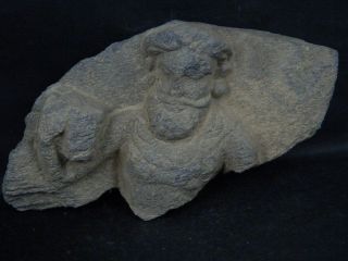 Ancient Stone Bearded Figure Gandhara/gandharan 100 Ad Stn306 photo