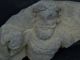Ancient Stone Bearded Figure Gandhara/gandharan 100 Ad Stn306 Roman photo 2