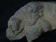Ancient Stone Bearded Figure Gandhara/gandharan 100 Ad Stn306 Roman photo 4