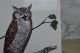 Gilbert Stone 1979 Wise Old Owl In Tree Ceramic Trivet Tile Cork Vtg Owl Decor Trivets photo 3
