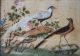 Mid 19th Century Chinese Watercolor,  Pith Painting Paintings & Scrolls photo 1