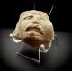 Pre - Columbian Grey Terracotta Idol Face On Perspex Stand 1st Millennium A.  D. The Americas photo 1