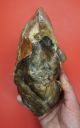 Huge 21cm/8.  25” Early Acheulian (abbevillian) Amygdaloidal Core - Biface C700k Neolithic & Paleolithic photo 9