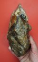 Huge 21cm/8.  25” Early Acheulian (abbevillian) Amygdaloidal Core - Biface C700k Neolithic & Paleolithic photo 2