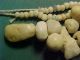 String Of Neolithic Stone Beads Circa 3rd - 1st Millennium Bc. Neolithic & Paleolithic photo 4