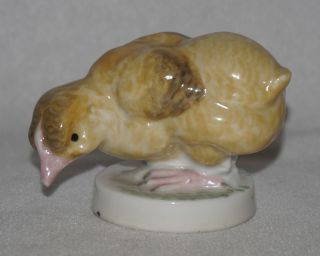 19th C Karl Ens Porcelain Baby Chick Figure,  Signed photo