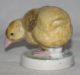 19th C Karl Ens Porcelain Baby Chick Figure,  Signed Figurines photo 2
