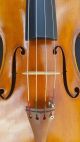 Antique Italian Labelled Viola Pietro Messori Modena 1935 String photo 2