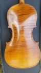 Rare Antique Left - Hand Violin By Seidel With 5 - Ply Purfling String photo 1