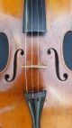 Rare Antique Left - Hand Violin By Seidel With 5 - Ply Purfling String photo 2