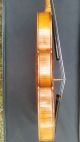 Rare Antique Left - Hand Violin By Seidel With 5 - Ply Purfling String photo 3