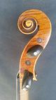 Rare Antique Left - Hand Violin By Seidel With 5 - Ply Purfling String photo 5