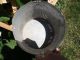 Galvanized Bucket Insert Barn Fresh Farm House Distressed 7.  5 