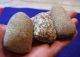 3 Medium Sized Hard Stone Celts From The Sahara Neolithic Neolithic & Paleolithic photo 4