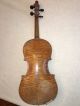 Rare Old Fine Antique 19th C Violin Otto Bausch Label Professional W/ Case Viola String photo 1