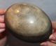 Antique Unusual Australian Emu Egg Carved With A Aboriginal,  Tribal Interest. Pacific Islands & Oceania photo 2