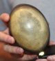 Antique Unusual Australian Emu Egg Carved With A Aboriginal,  Tribal Interest. Pacific Islands & Oceania photo 3