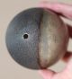 Antique Unusual Australian Emu Egg Carved With A Aboriginal,  Tribal Interest. Pacific Islands & Oceania photo 7