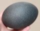 Antique Unusual Australian Emu Egg Carved With A Aboriginal,  Tribal Interest. Pacific Islands & Oceania photo 8