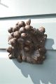 Antique Hand Carved Oak Grapes Mount Church Carving Grapevine Other Antique Hardware photo 2