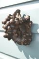 Antique Hand Carved Oak Grapes Mount Church Carving Grapevine Other Antique Hardware photo 3