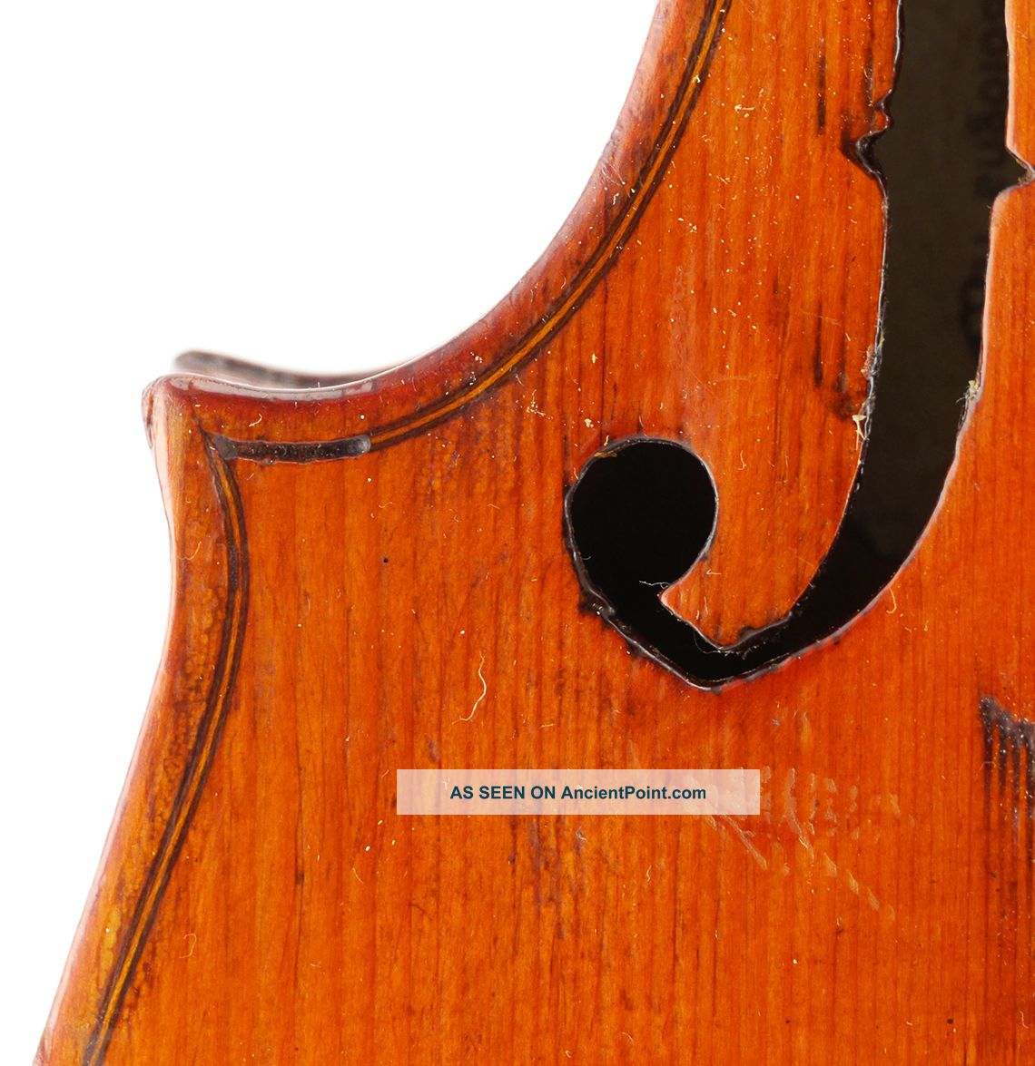 Fine,  Antique Albina Zini Italian Old 4/4 Master Violin - Geige,  Fiddle,  小提琴 String photo