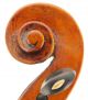 Fine,  Antique Albina Zini Italian Old 4/4 Master Violin - Geige,  Fiddle,  小提琴 String photo 5