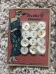 Antique Bluebird Mother Of Pearl Buttons Cards 1920 ' S Buttons photo 1