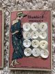 Antique Bluebird Mother Of Pearl Buttons Cards 1920 ' S Buttons photo 2