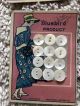 Antique Bluebird Mother Of Pearl Buttons Cards 1920 ' S Buttons photo 3