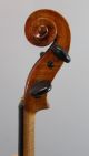 Antique Steamship Captain Alvah Belmont Strout 4/4 Violin & French Vuillaume Bow String photo 3