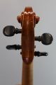 Antique Steamship Captain Alvah Belmont Strout 4/4 Violin & French Vuillaume Bow String photo 4