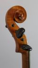 Antique Steamship Captain Alvah Belmont Strout 4/4 Violin & French Vuillaume Bow String photo 5