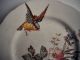 Antique French Polychrome Plate W.  Bird & Flowers - Choisy Le Roi C.  1880 - 1900 Plates & Chargers photo 1