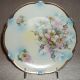 Antique Germany Porcelain Rose Plate Circa 1900 ' S,  B.  T.  Co.  Burley & Tyrell Plates & Chargers photo 2