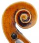 Fine,  Antique Giovanni Luppi Italian Old 4/4 Master Violin - Geige,  Fiddle 小提琴 String photo 6