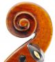 Rare,  Antique Francesco Ferrari Italian Old 4/4 Master Violin - Geige,  Fiddle String photo 5