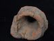 Ancient Teracotta Animal Head Indus Valley 800 Bc Tr15206 Neolithic & Paleolithic photo 2