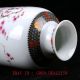 Old Chinese Porcelain Hand - Painted Flowers&calligraphy Vase With Qianlong Mark Vases photo 6