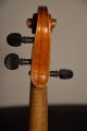 Old German Violin 3/4 Strad Model Old Label String photo 5
