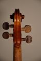 Old French Violin 3/4 Strad Model String photo 6