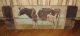 Big Dairy Milking Cow Wall Picture Primitive/french Country Farmhouse Barn Decor Primitives photo 4