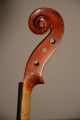 Old French Violin Jtl  Compagnon Iii String photo 6